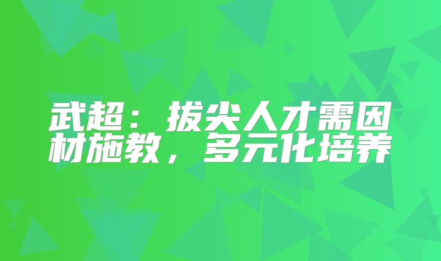 武超：拔尖人才需因材施教，多元化培养