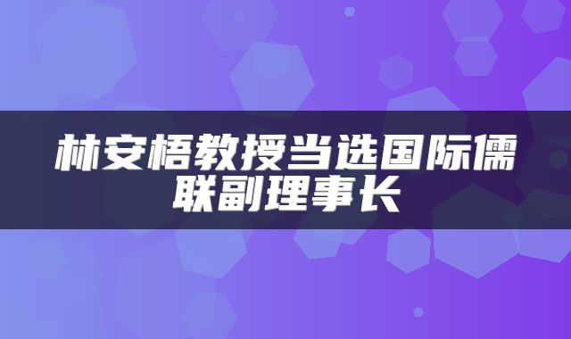 林安梧教授当选国际儒联副理事长