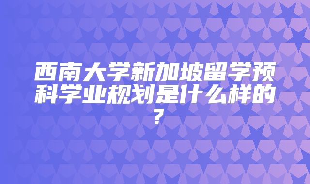 西南大学新加坡留学预科学业规划是什么样的？