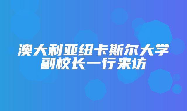 澳大利亚纽卡斯尔大学副校长一行来访上外海外合作学院