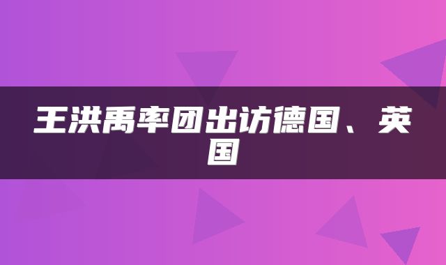 王洪禹率团出访德国、英国