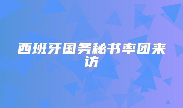 西班牙国务秘书率团来访