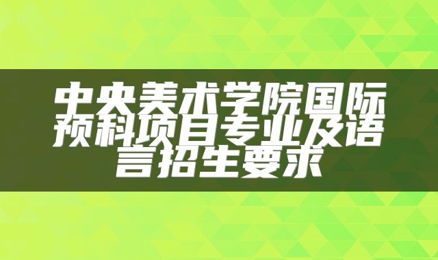 中央美术学院国际预科项目专业及语言招生要求