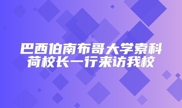 巴西伯南布哥大学索科荷校长一行来访我校