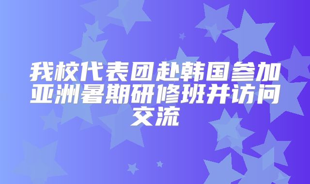 我校代表团赴韩国参加亚洲暑期研修班并访问交流
