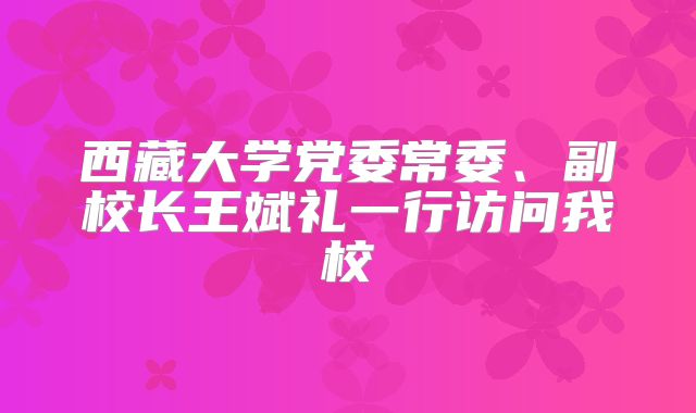 西藏大学党委常委、副校长王斌礼一行访问我校