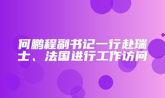 何鹏程副书记一行赴瑞士、法国进行工作访问