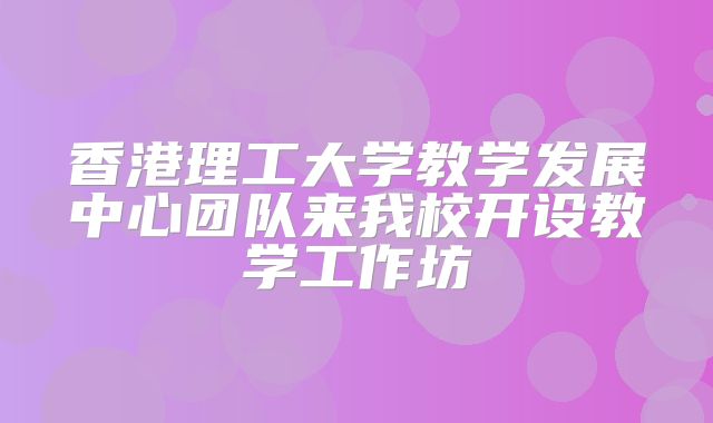 香港理工大学教学发展中心团队来我校开设教学工作坊