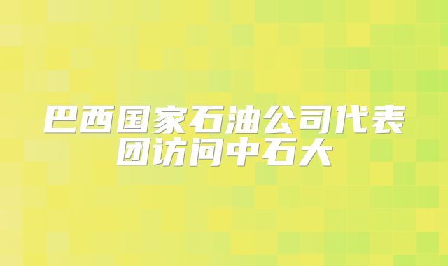 巴西国家石油公司代表团访问中石大