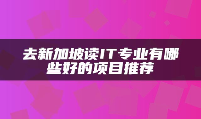 去新加坡读IT专业有哪些好的项目推荐