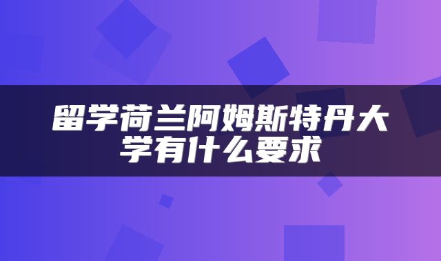 留学荷兰阿姆斯特丹大学有什么要求