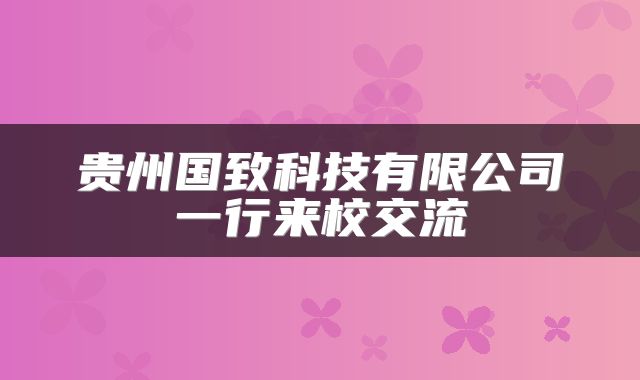 贵州国致科技有限公司一行来校交流