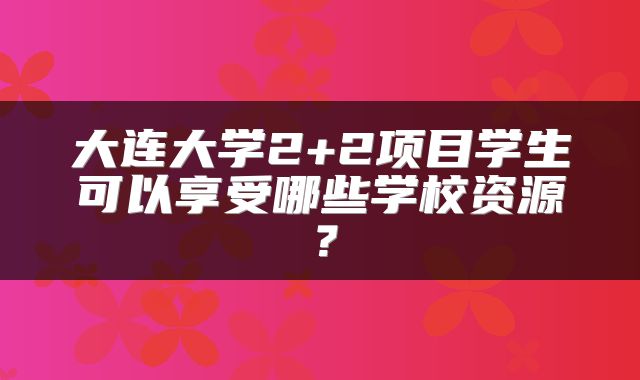 大连大学2+2项目学生可以享受哪些学校资源？