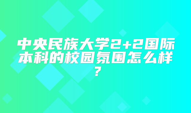 中央民族大学2+2国际本科的校园氛围怎么样？