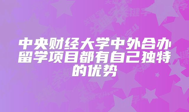 中央财经大学中外合办留学项目都有自己独特的优势