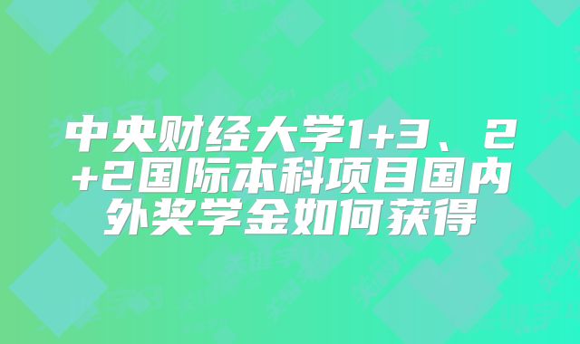 中央财经大学1+3、2+2国际本科项目国内外奖学金如何获得