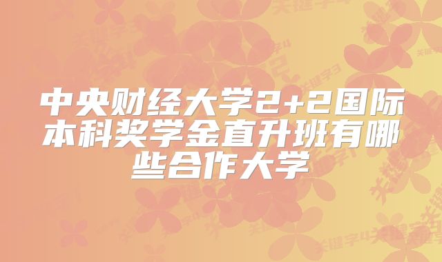 中央财经大学2+2国际本科奖学金直升班有哪些合作大学