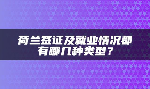 荷兰签证及就业情况都有哪几种类型？