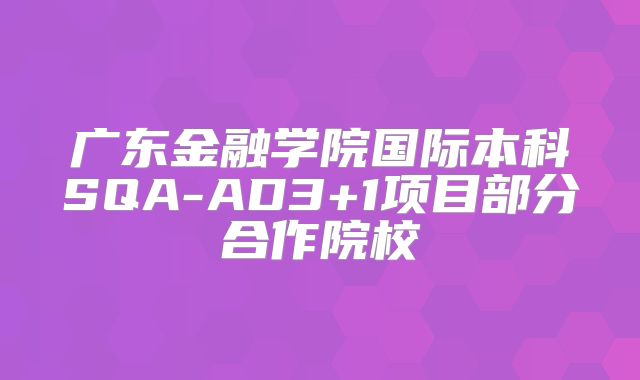 广东金融学院国际本科SQA-AD3+1项目部分合作院校