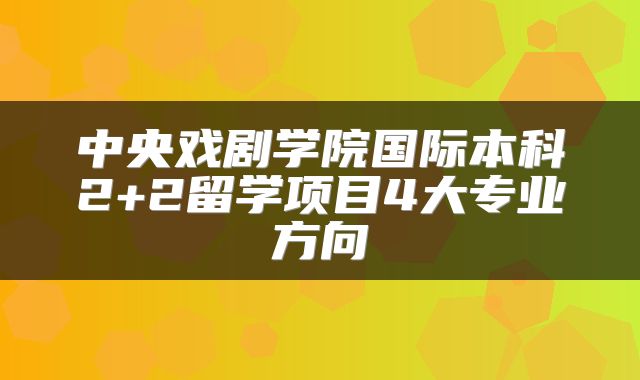 中央戏剧学院国际本科2+2留学项目4大专业方向
