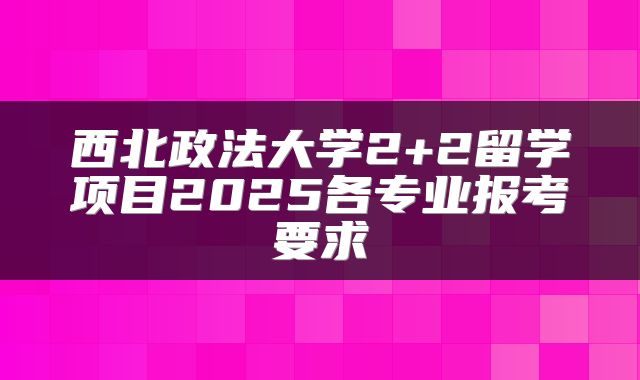 西北政法大学2+2留学项目2025各专业报考要求