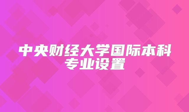 中央财经大学国际本科专业设置