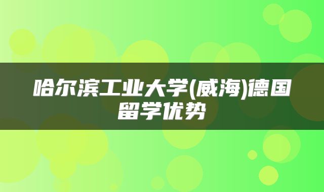 哈尔滨工业大学(威海)德国留学优势