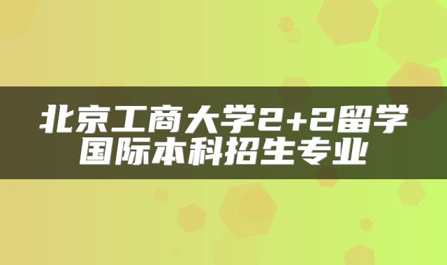 北京工商大学2+2留学国际本科招生专业