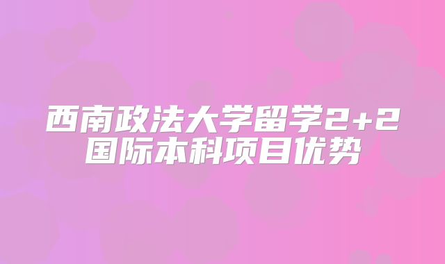 西南政法大学留学2+2国际本科项目优势