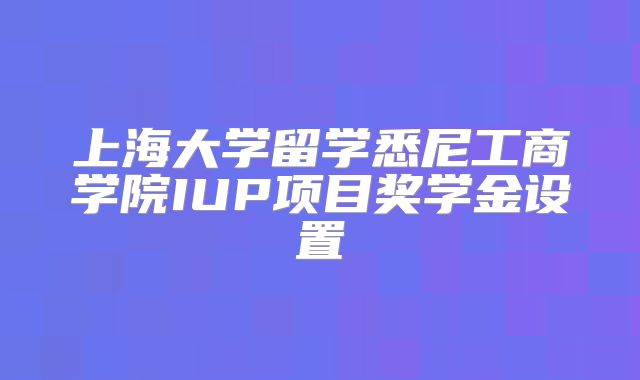 上海大学留学悉尼工商学院IUP项目奖学金设置