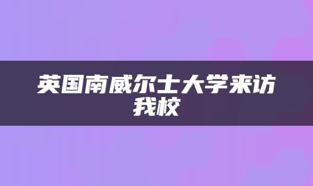 英国南威尔士大学来访我校