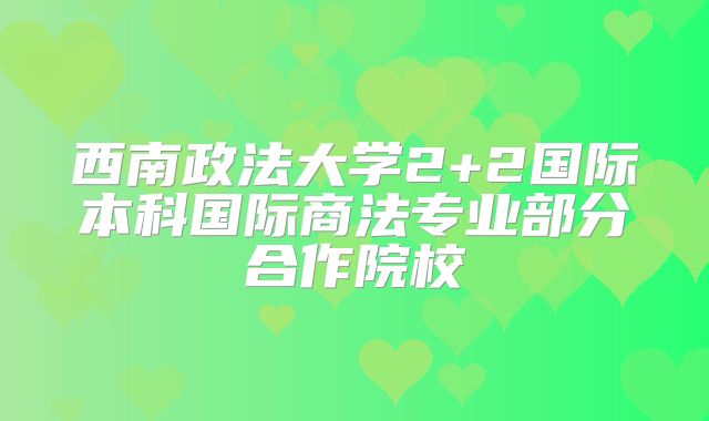 西南政法大学2+2国际本科国际商法专业部分合作院校