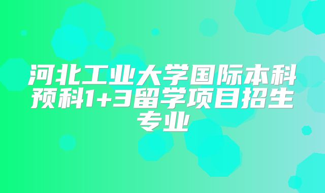 河北工业大学国际本科预科1+3留学项目招生专业
