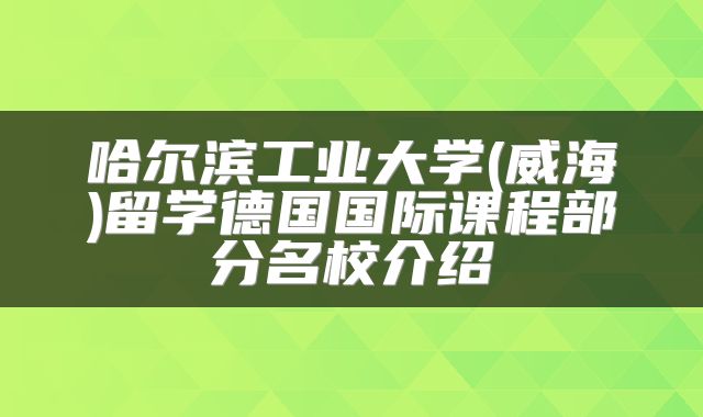 哈尔滨工业大学(威海)留学德国国际课程部分名校介绍