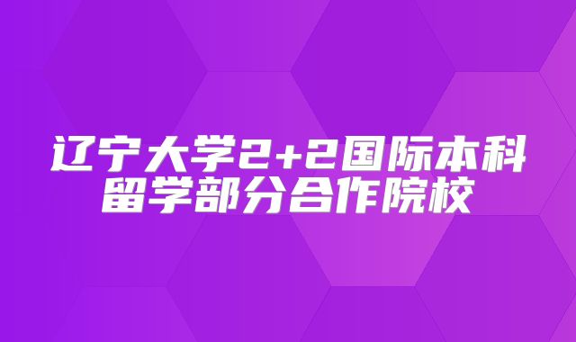 辽宁大学2+2国际本科留学部分合作院校