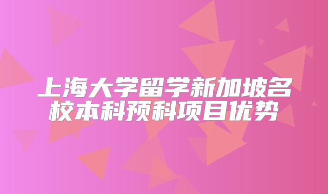 上海大学留学新加坡名校本科预科项目优势