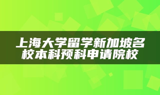 上海大学留学新加坡名校本科预科申请院校