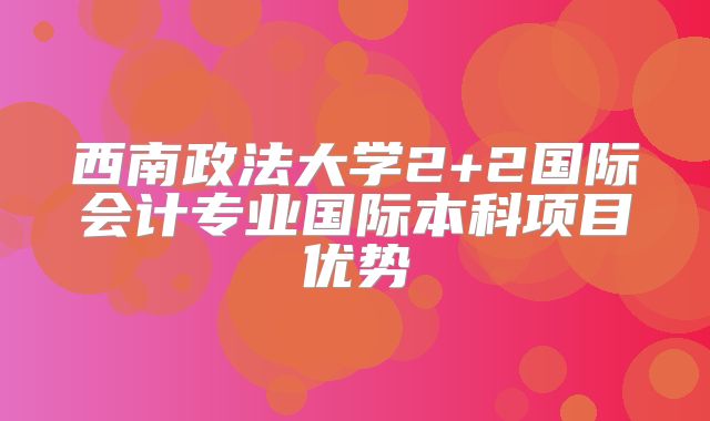 西南政法大学2+2国际会计专业国际本科项目优势
