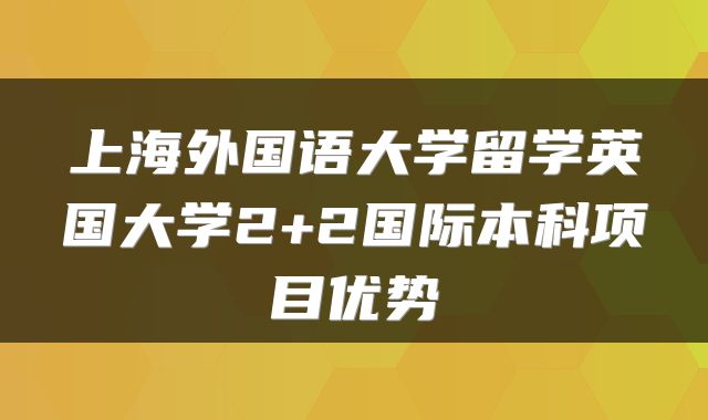 上海外国语大学留学英国大学2+2国际本科项目优势