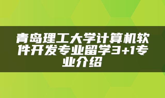 青岛理工大学计算机软件开发专业留学3+1专业介绍
