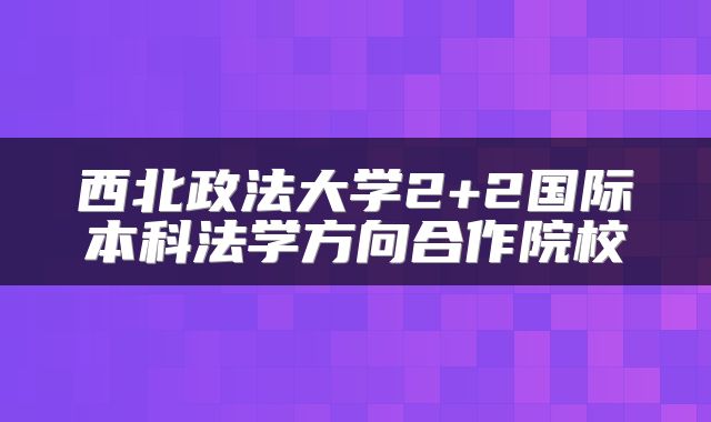 西北政法大学2+2国际本科法学方向合作院校