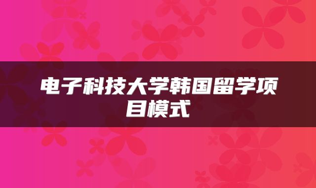 电子科技大学韩国留学项目模式