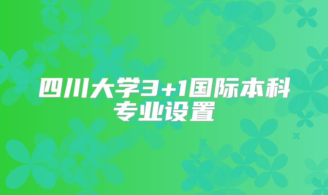 四川大学3+1国际本科专业设置