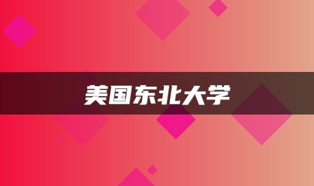 美国东北大学