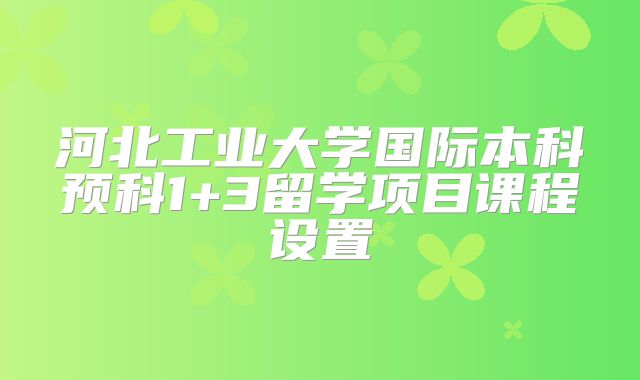 河北工业大学国际本科预科1+3留学项目课程设置