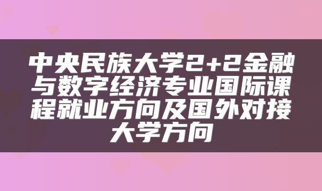 中央民族大学2+2金融与数字经济专业国际课程就业方向及国外对接大学方向