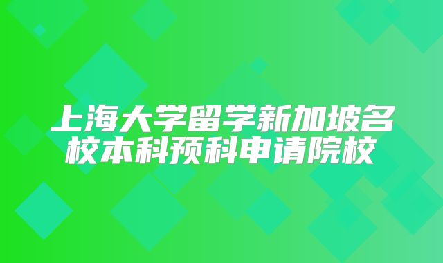 上海大学留学新加坡名校本科预科申请院校