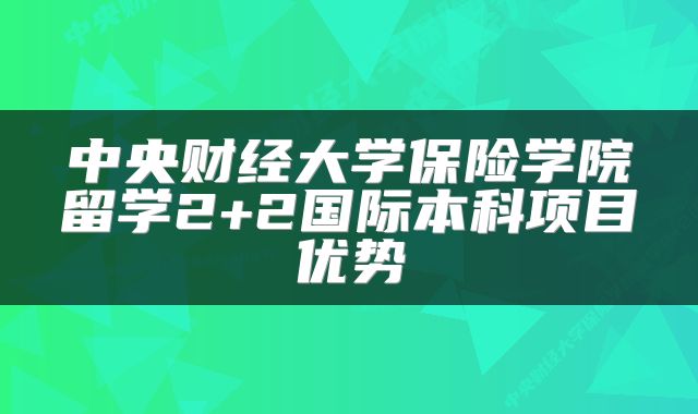 中央财经大学保险学院留学2+2国际本科项目优势