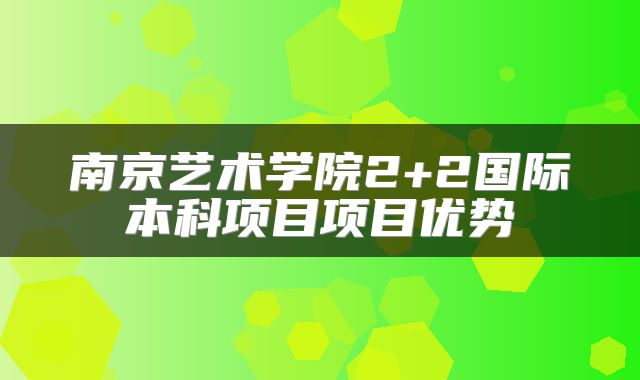 南京艺术学院2+2国际本科项目项目优势