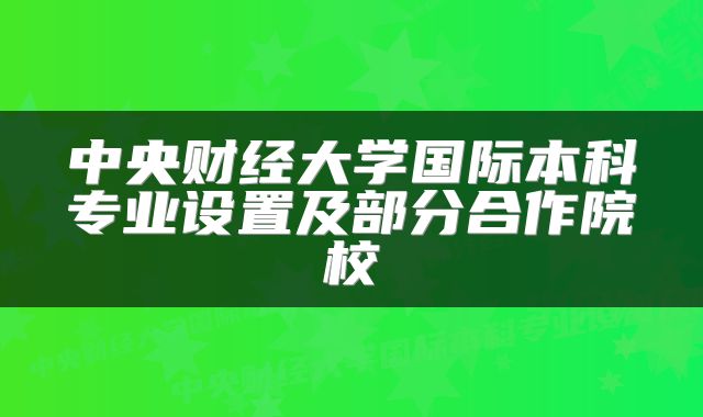 中央财经大学国际本科专业设置及部分合作院校